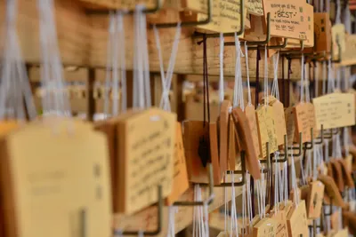 DSC_3322 (Large).JPG